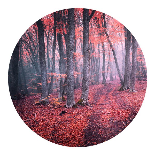 Wandtattoos: Roter Wald