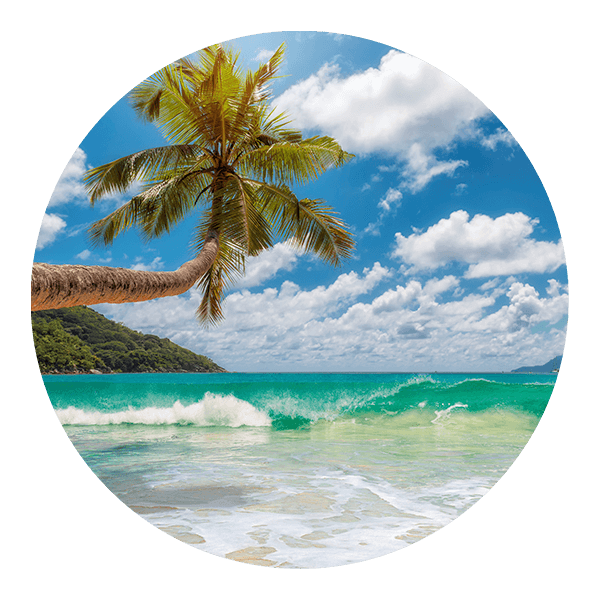 Wandtattoos: Karibik Strand