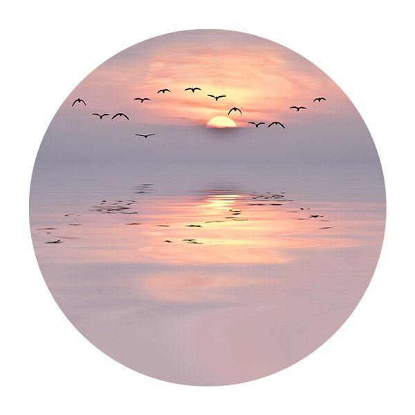Wandtattoos: Vögel bei Sonnenunterganguntergang