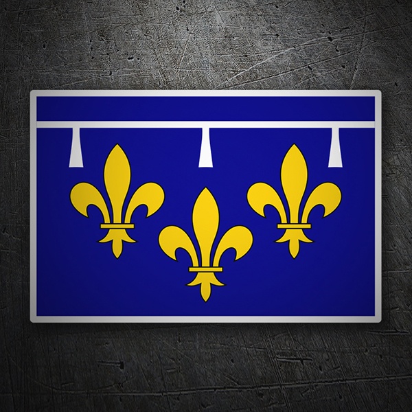Aufkleber: Flagge Orléanais