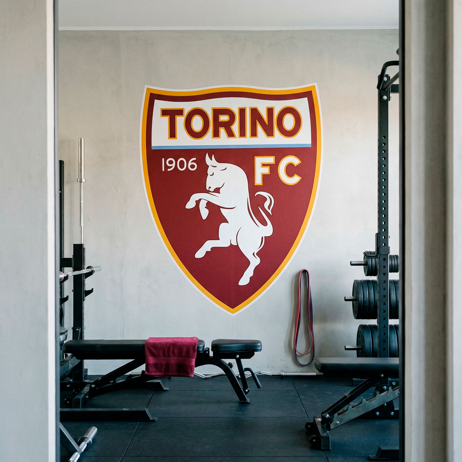 Wandtattoos: Wappen des Torino FC