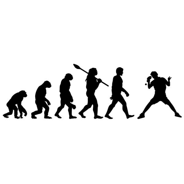 Wandtattoos: Ping Pong evolution