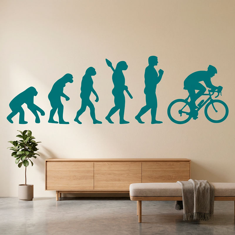 Radfahren evolution 2/12