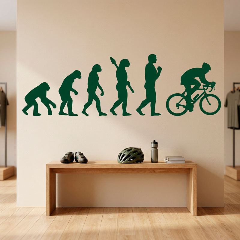 Radfahren evolution 11/12
