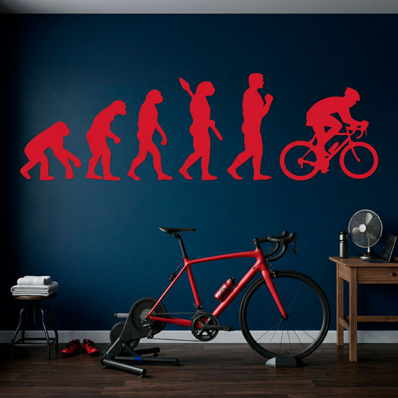 Radfahren evolution 12/12