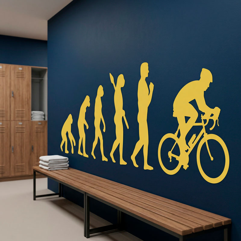Radfahren evolution 4/12