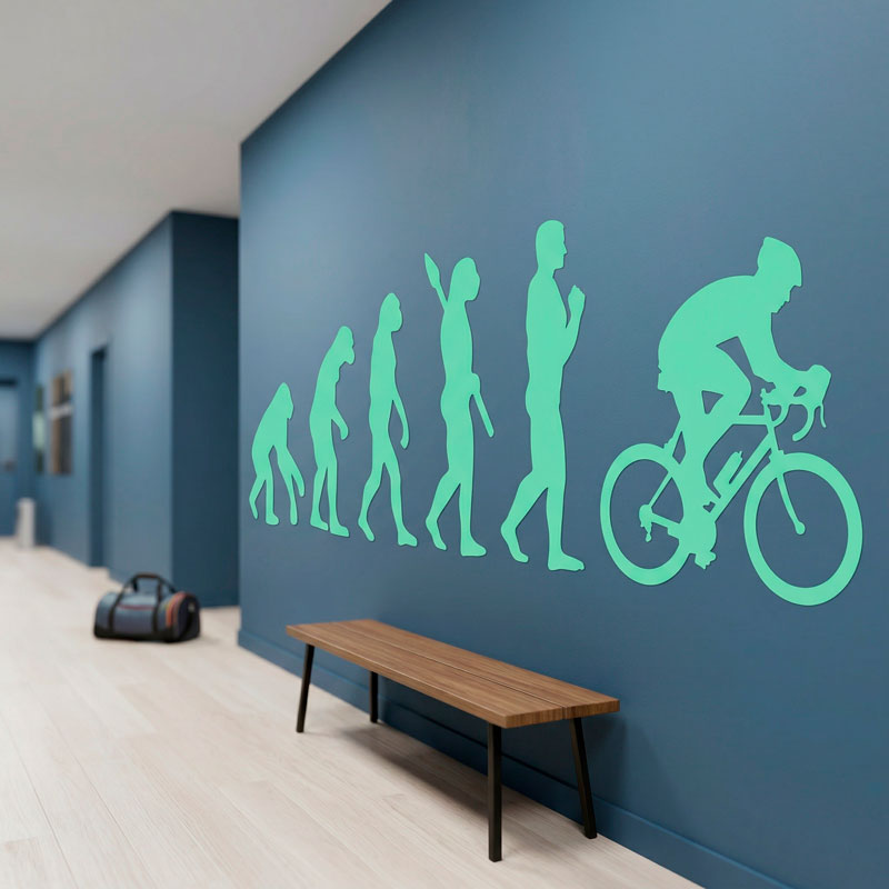 Radfahren evolution 5/12
