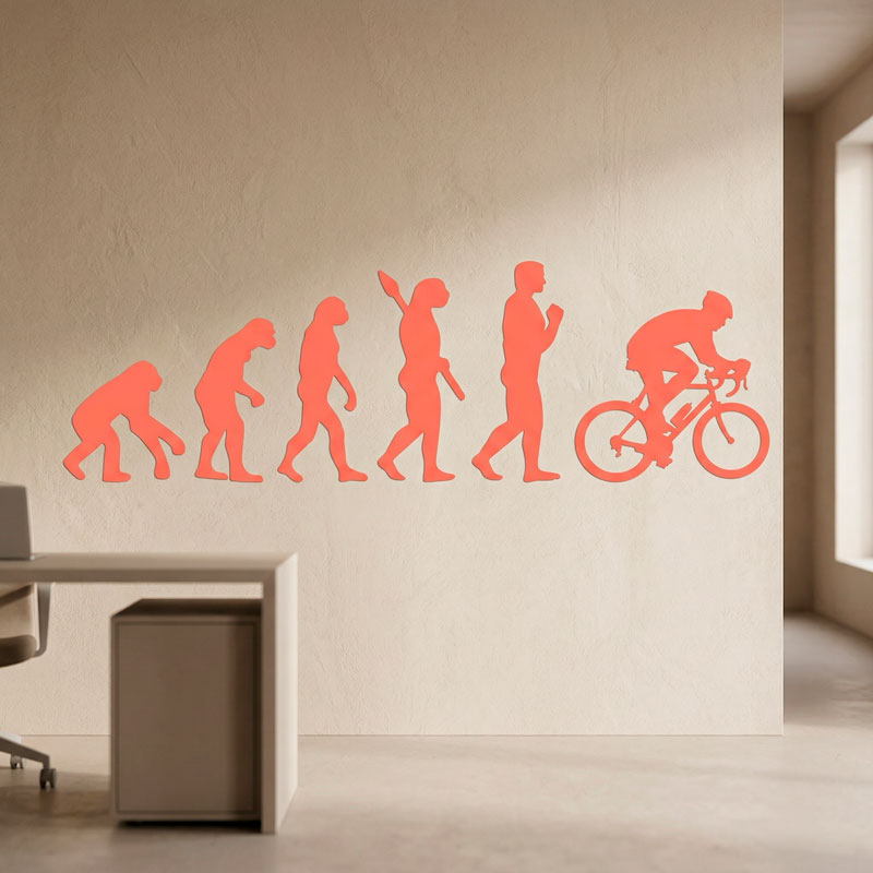 Radfahren evolution 6/12