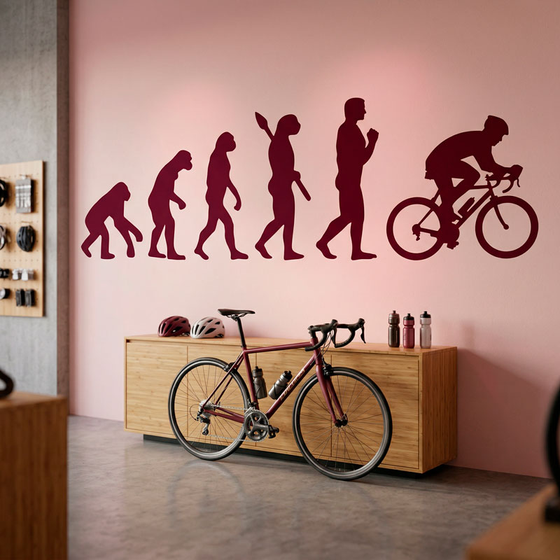 Radfahren evolution 8/12