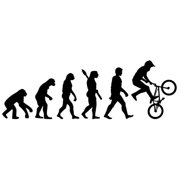 Wandtattoos: BMX Evolution