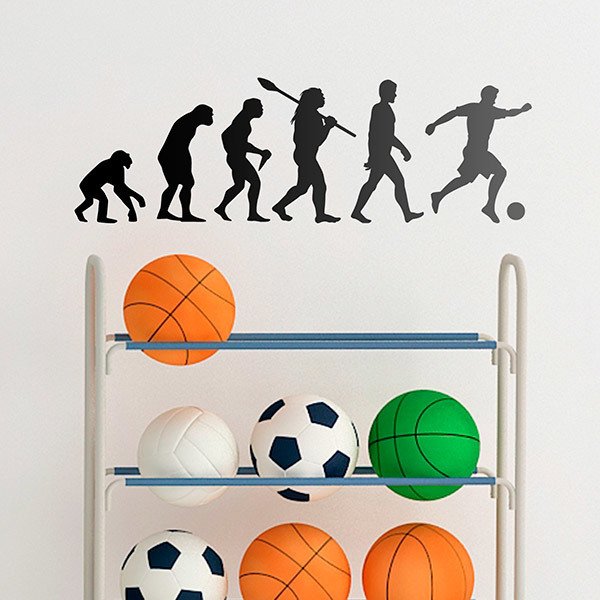 Wandtattoos: Fußball evolution