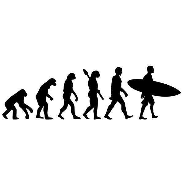 Wandtattoos: Surf evolution