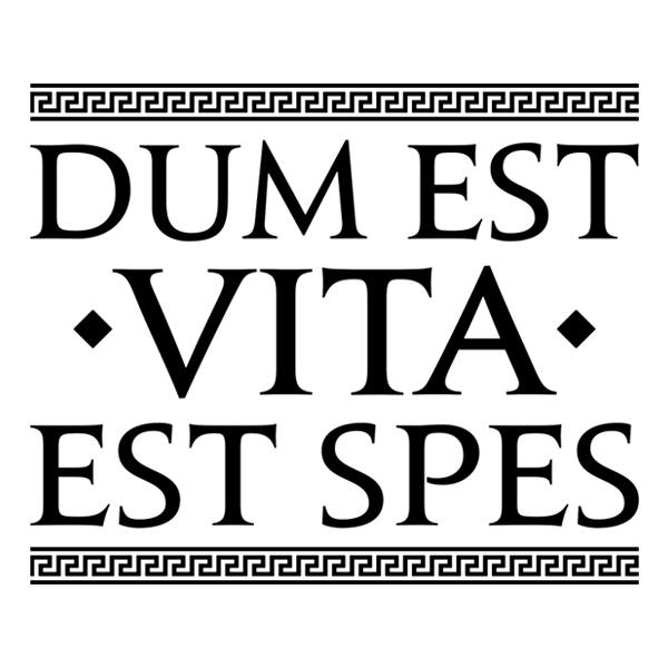 Wandtattoos: Dum Est Vita Est Spes