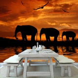 Fototapeten: Elefanten migrieren 2