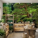 Fototapeten: Japanischer Garten 8