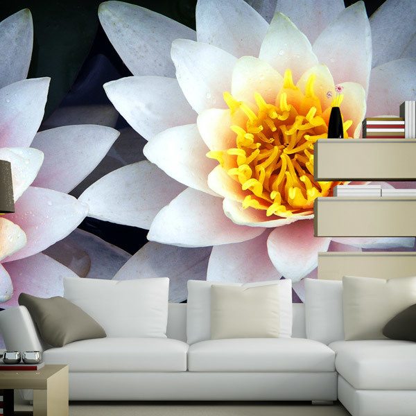 Fototapeten: Lotus-Blumen