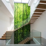 Fototapeten: Bambus 11