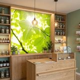 Fototapeten: Bl&auml;tter 17