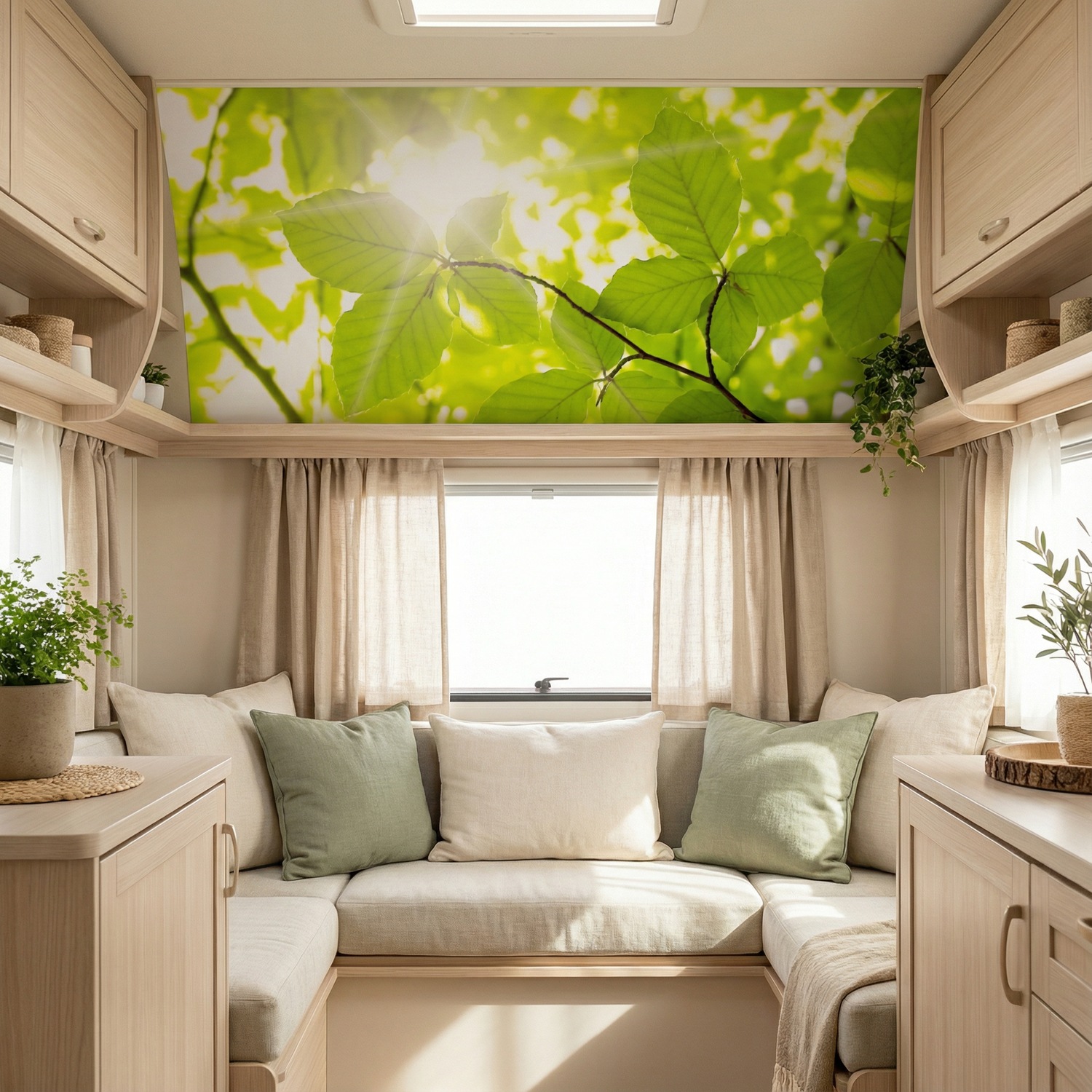 Fototapeten: Bl&auml;tter