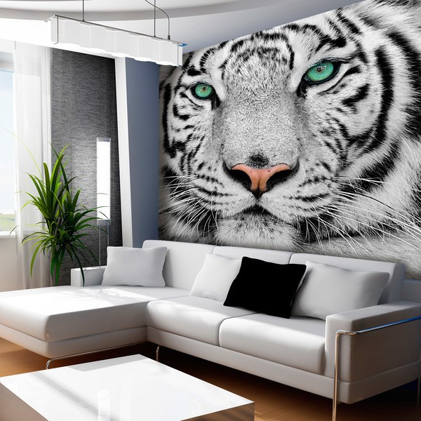 Fototapeten: White Tiger