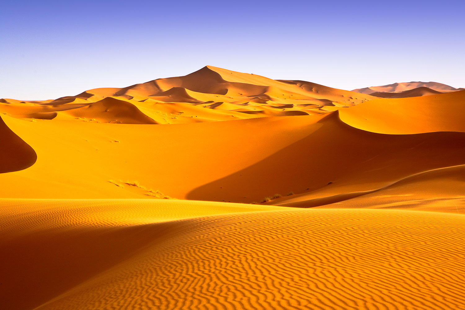 Fototapeten: W&uuml;ste der Sahar