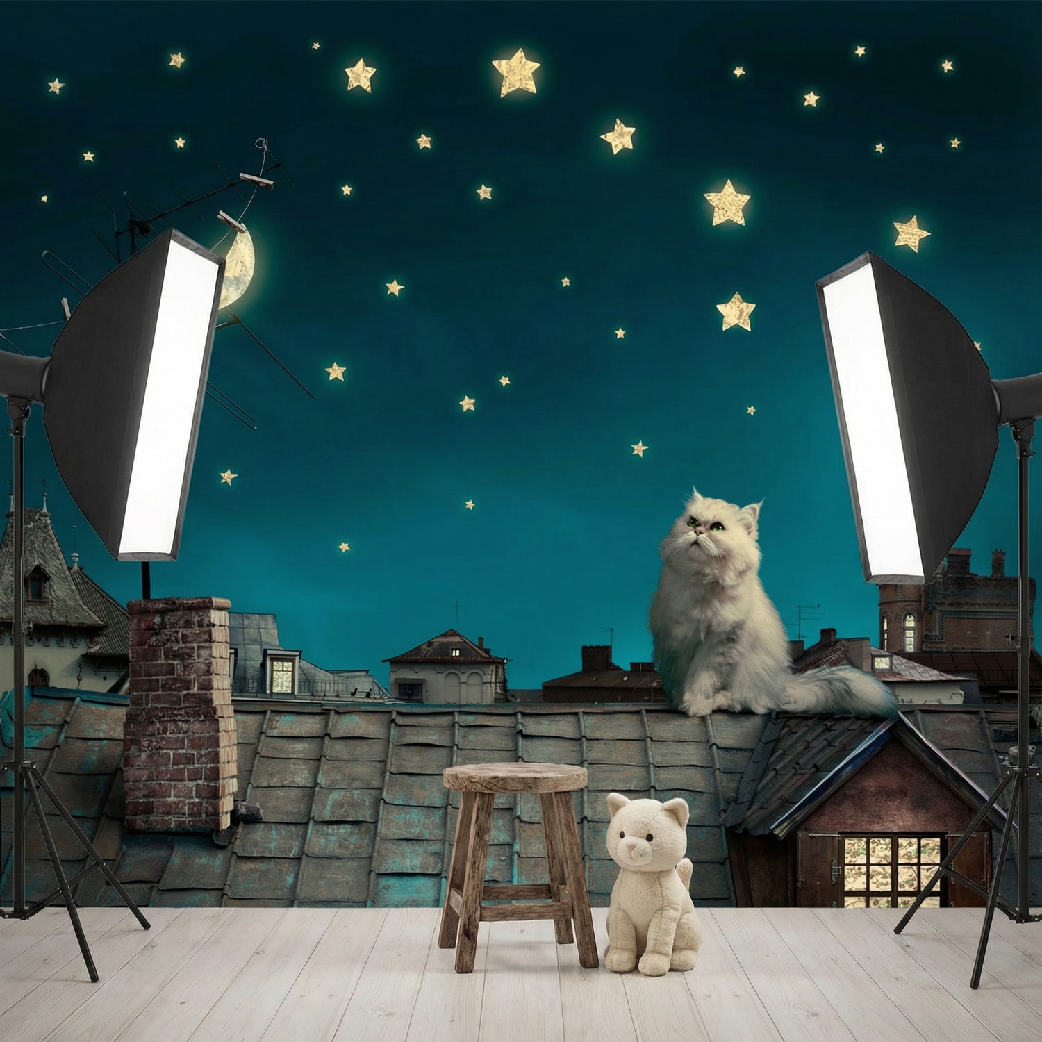 Fototapeten: Katze auf dem Dach