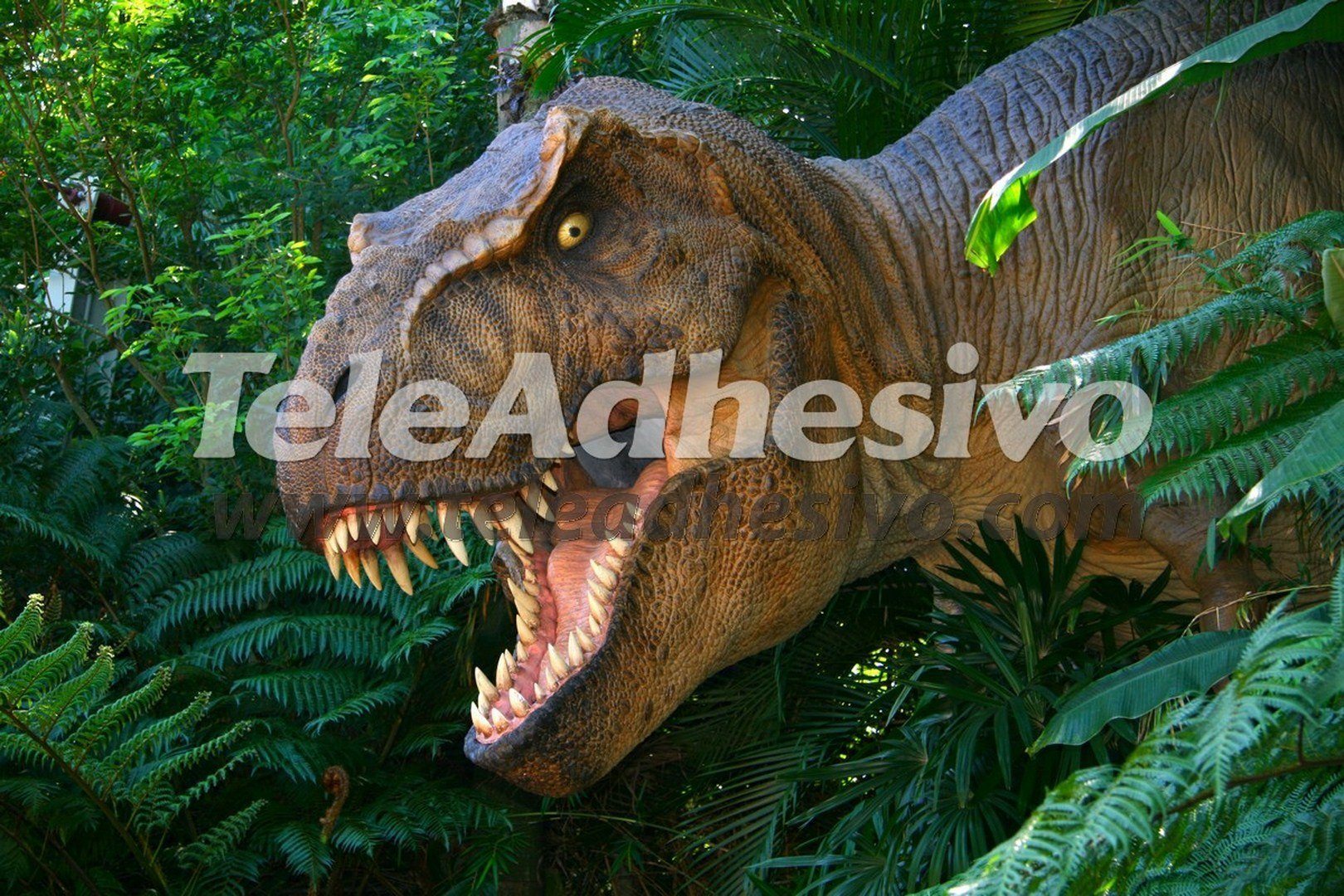 Fototapeten: Tyrannosaurus Rex