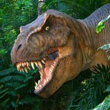 Fototapeten: Tyrannosaurus Rex 3