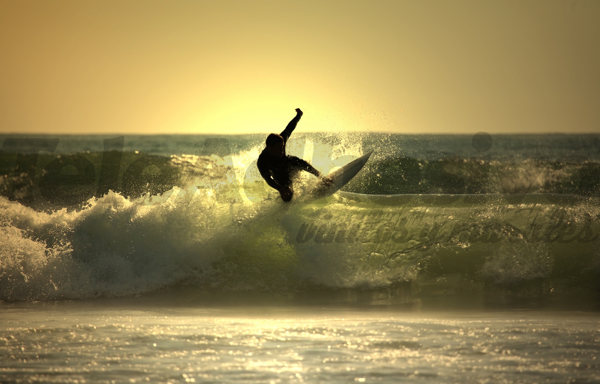 Fototapeten: Surfen