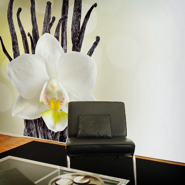 Fototapeten: White Orchid