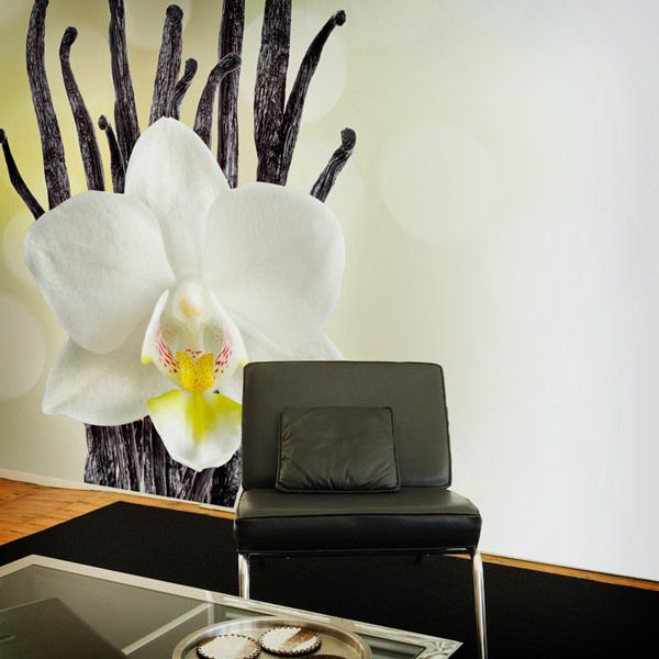 Fototapeten: White Orchid 0