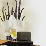 Fototapeten: White Orchid 3