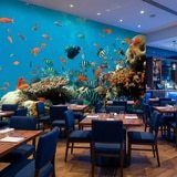 Fototapeten: Riff Fisch 11