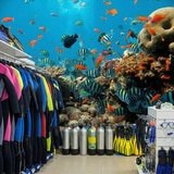 Fototapeten: Riff Fisch 9