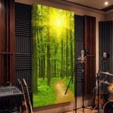 Fototapeten: Sonnenuntergang im Wald 9