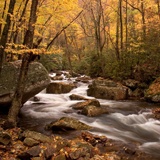 Fototapeten: Herbst Wald Fluss 2