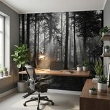 Fototapeten: Wald in Schwarz und Wei&szlig; 9