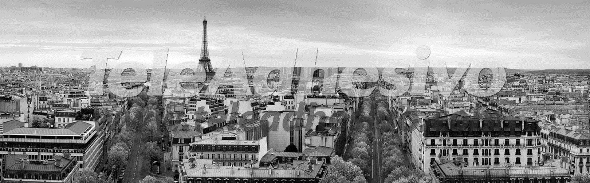 Fototapeten: Panoramisch von Paris in Schwarzweiss