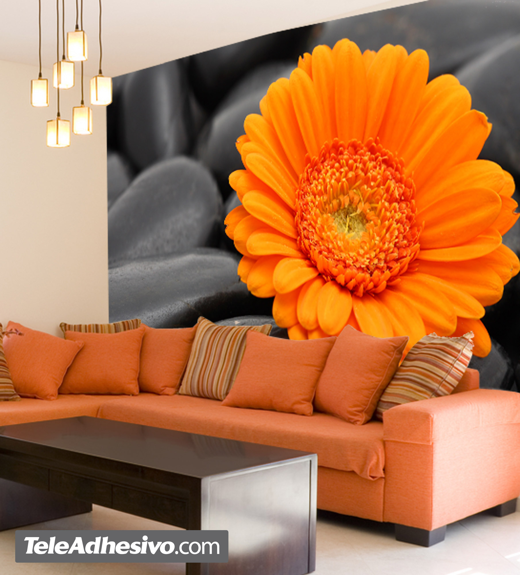 Fototapeten: Gerbera Orange