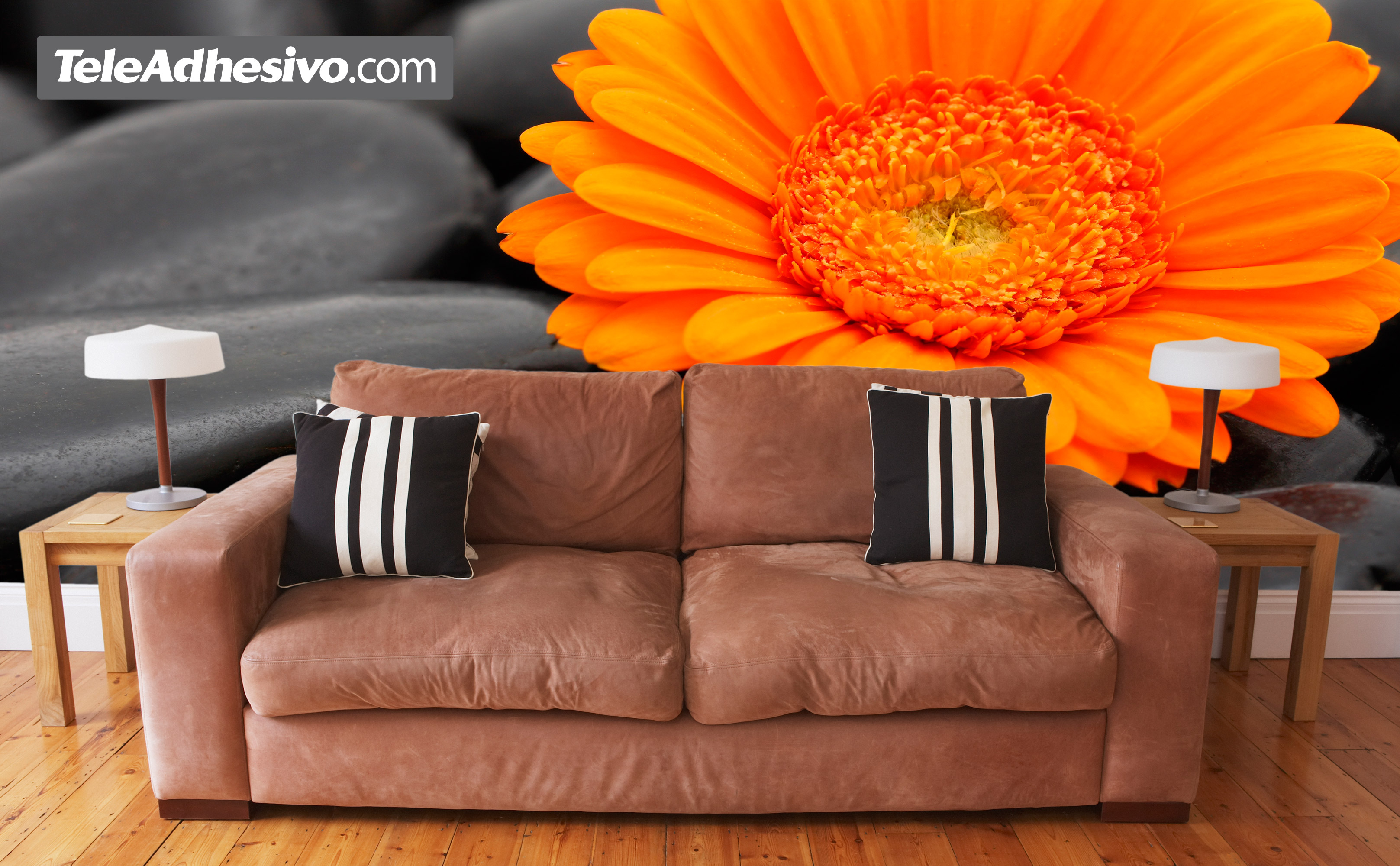 Fototapeten: Gerbera Orange