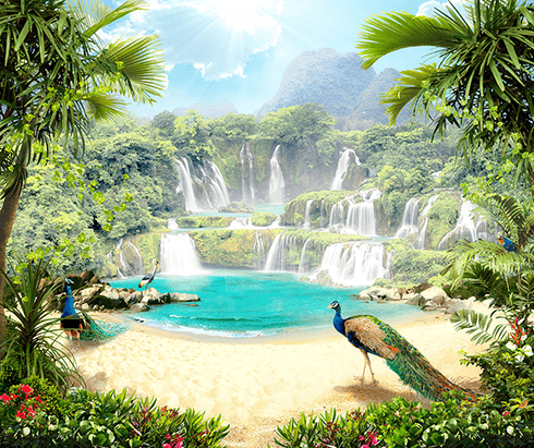 Video Paradies Video Paradies
