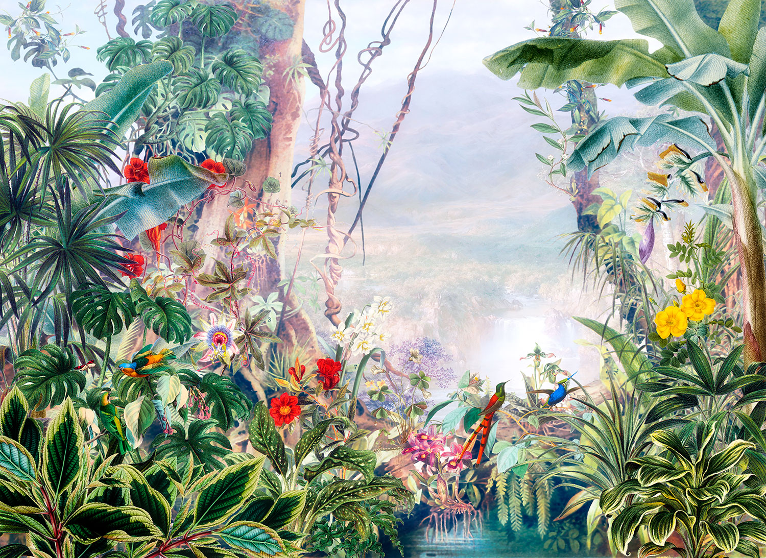 Fototapeten: Regenwald
