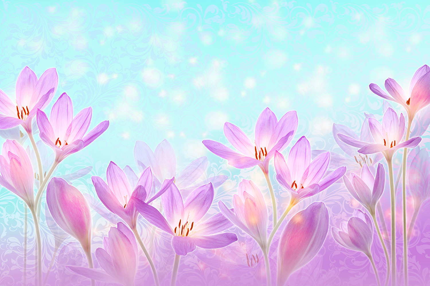 Fototapeten: Gemalte Violette Blumen