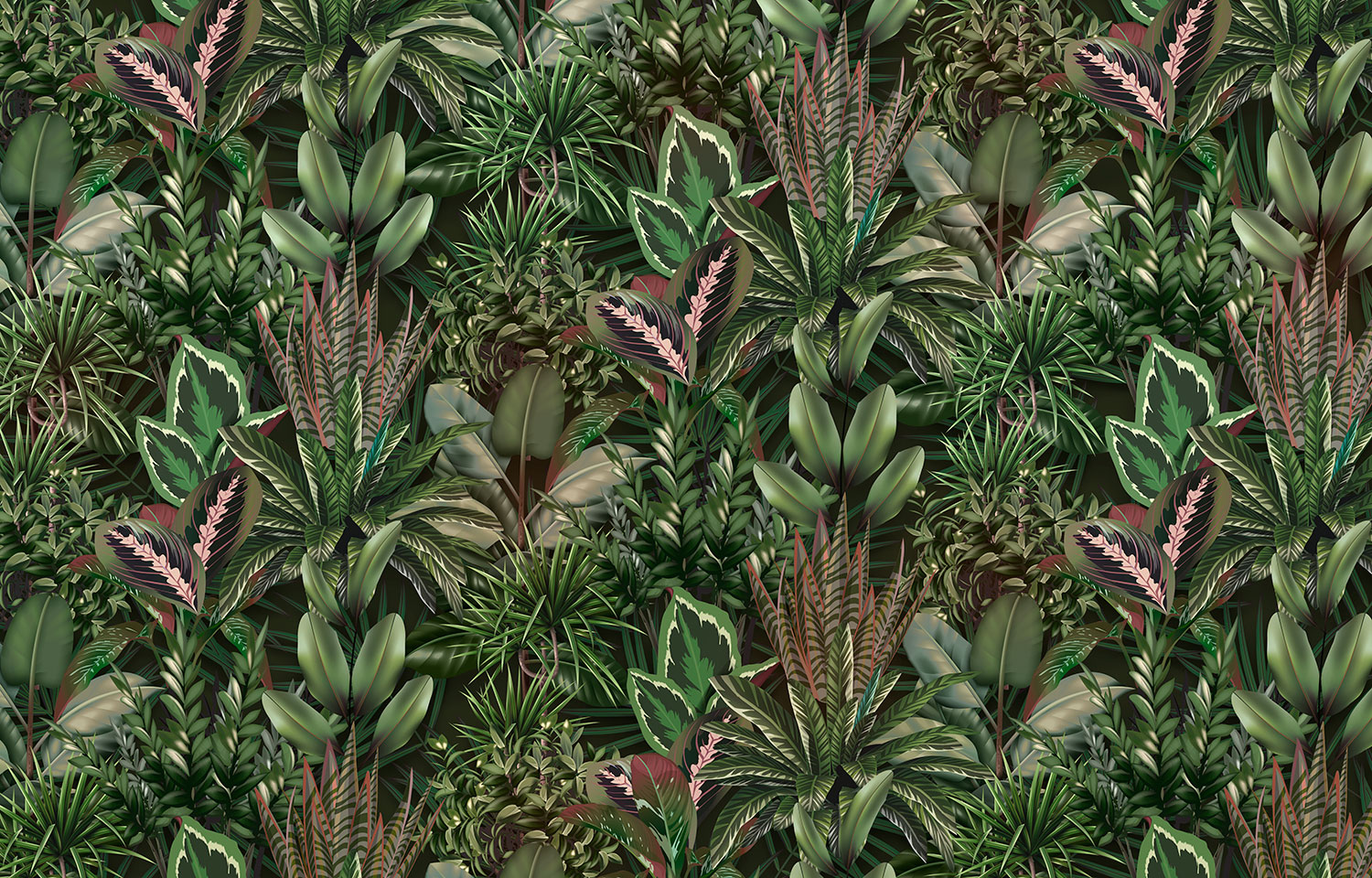 Fototapeten: Wilde Vegetation