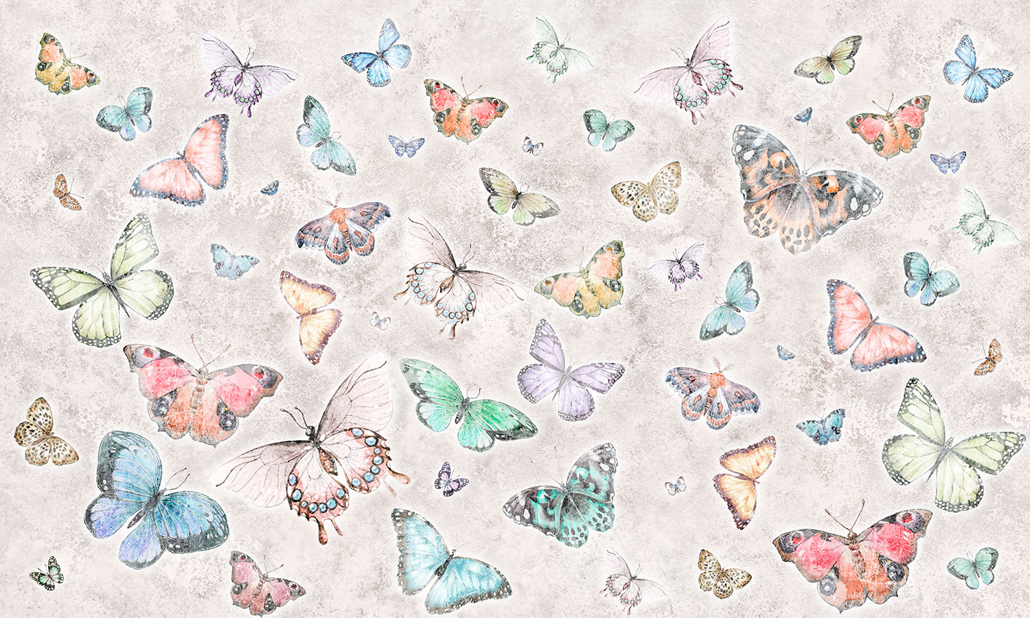 Fototapeten: Schmetterling Collage