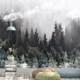 Fototapeten: Bäume im Nebel 2