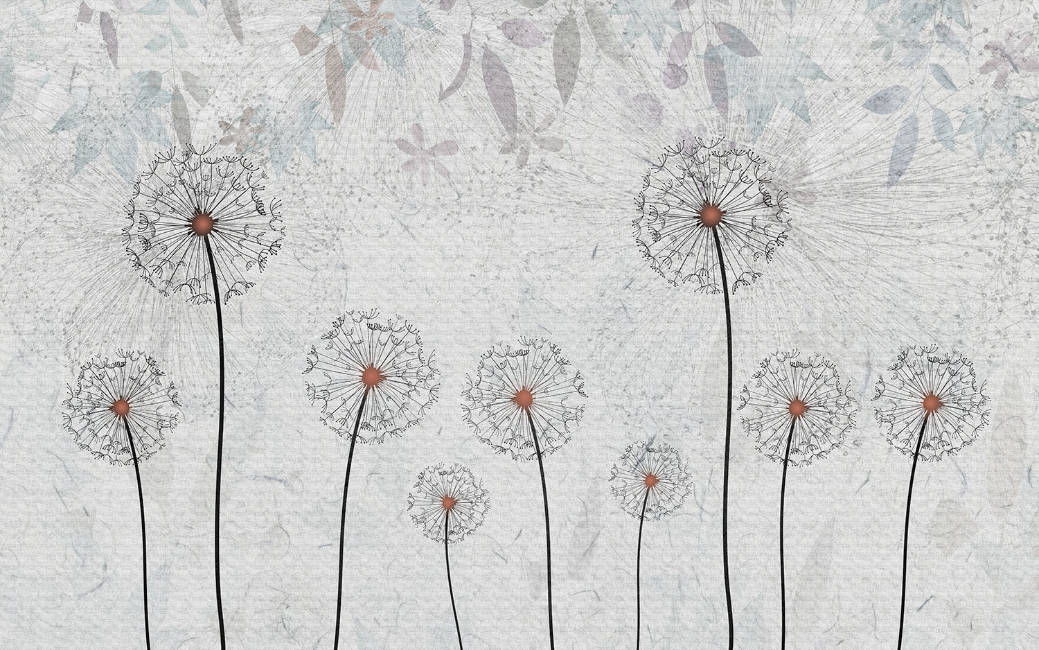 Fototapeten: Pusteblumen mit grauem Hintergrund
