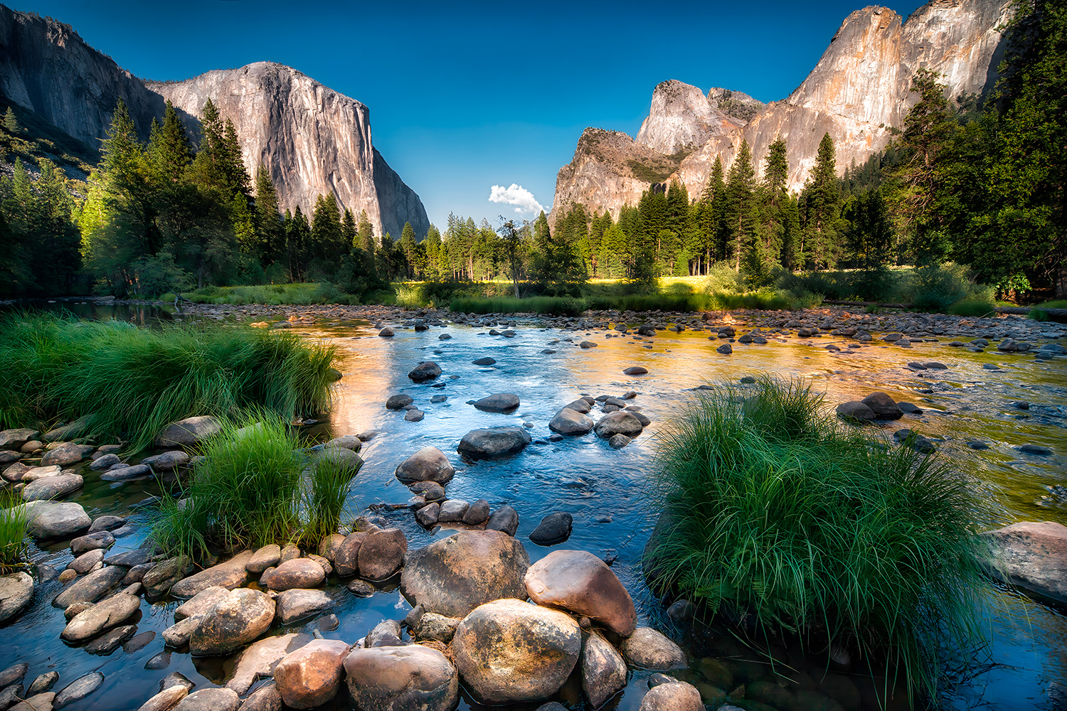 Fototapeten: Yosemite-Nationalpark