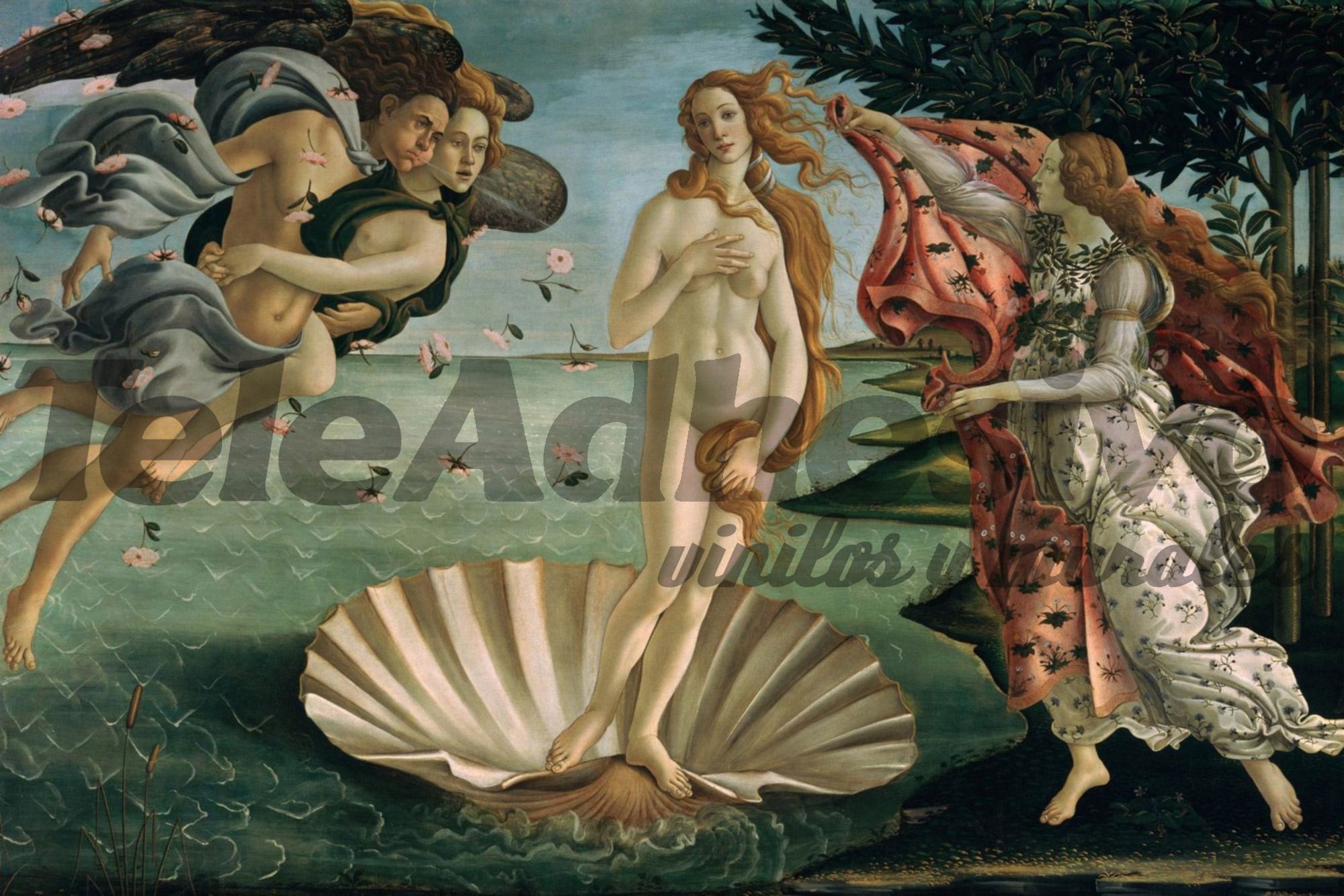 Fototapeten: Geburt der Venus, Botticelli
