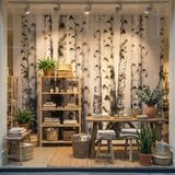 Fototapeten: Birkenwald 11